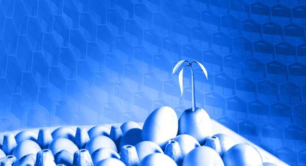 TZ APAC Announces EGG Web3 Incubator for Asia Pacific-based Teams image 1