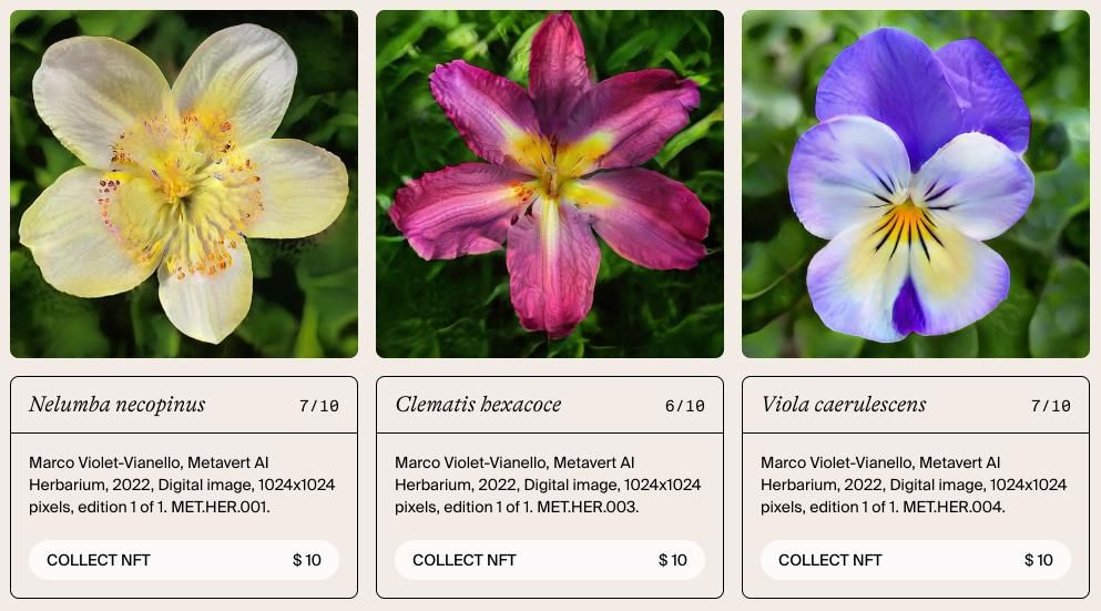 TezTalks Live # 49 - A Conversation With Digital Artist Marco Violet-Vianello, image 1