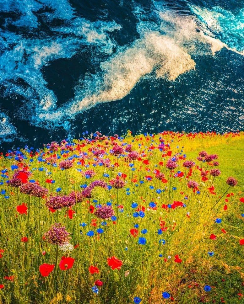 Highlighting the BREATHE! 2023 Convention, image 6