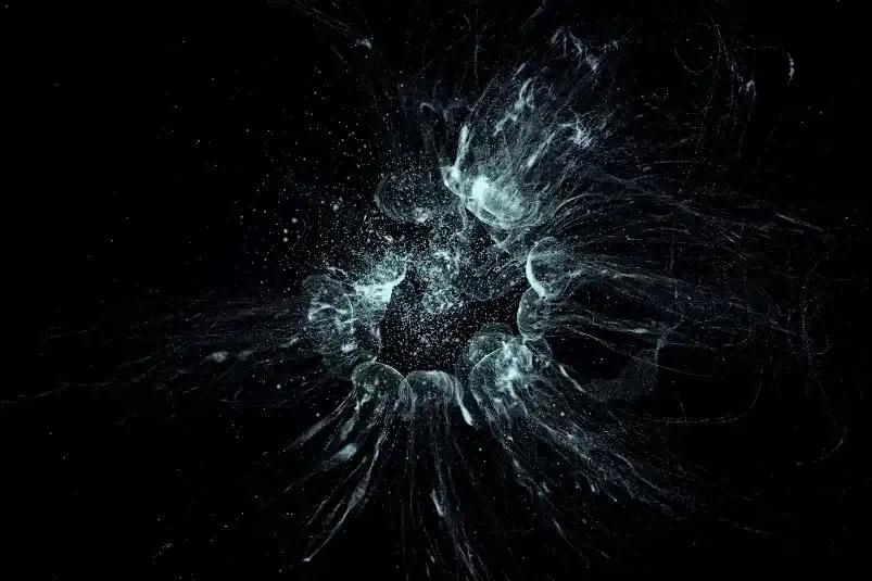 NFTurtle Power Tezos-Powered Digital Art Takes On An Important New Cause image 1